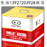 中底膠博正樹脂