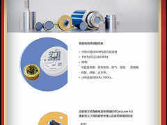 上海德薩堡傳感器有限公司總經理 王欣2022新春寄語