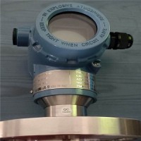 上海錕鵬_音叉密度計_密度計