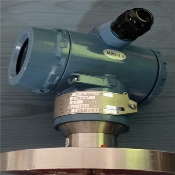 上海錕鵬_音叉密度計_密度計