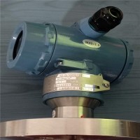 上海錕鵬_音叉密度計_密度計