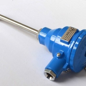 北京中瑞能_ZRN-WZP-F防爆型溫度傳