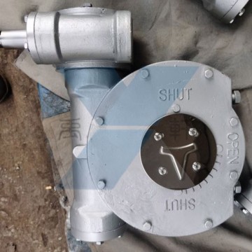 QDX3-S8不銹鋼蝸輪箱,部分回轉(zhuǎn)型閥