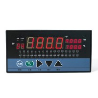 浙江頂威_  DWP-MD14-01-23-2H2L-巡檢儀