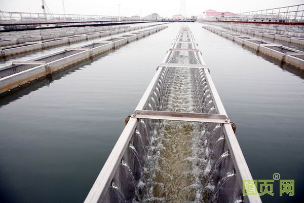 自來水公司 自來水公司