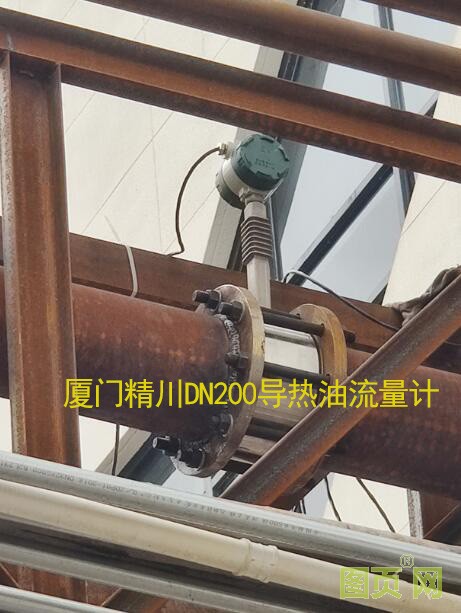 皮革廠導熱油流量計