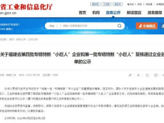 喜獲殊榮！虹潤公司榮膺國家專精特新“小巨人”企業(yè)稱號