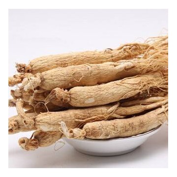 2023中國上海國際中藥保健及名貴滋