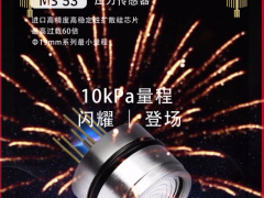 山東佰測(cè)傳感科技股份有限公司 副總經(jīng)理 侯欣 2023年新春寄語