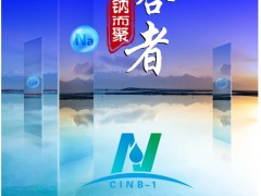 【參會指南】超200家單位報名，五十六場精彩報告，共同開啟鈉電盛會