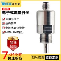 FGJ經濟型插入式流量開關 消防水流開關 開關量輸出