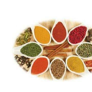 2023中國鄭州國際食品添加劑及配料