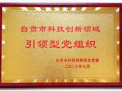 中共四川惠科達(dá)儀表制造有限公司支部委員會(huì)榮獲“自貢市科技創(chuàng)新領(lǐng)域引領(lǐng)型黨組織”