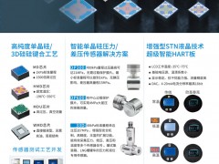 德爾森在單晶硅傳感器領(lǐng)域的領(lǐng)導地位及其應用領(lǐng)域