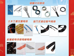 盛邦電線電纜(江蘇)有限公司 總經(jīng)理 張晉民 2024年新春寄語