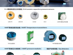 上海德薩堡傳感器入刊上海世環會特刊《儀表與測量控制》系列客戶報道21