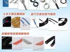 盛邦電線電纜入刊上海世環會特刊《儀表與測量控制》系列客戶報道44