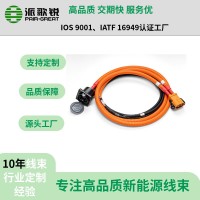 新能源電動(dòng)汽車250A充電插座高壓線束 新能源充電線束工廠