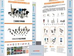 西安森瑟斯傳感器攜手十家儀表廠家亮相廣州國際計量展-展后回顧7