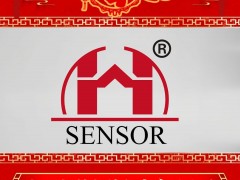 江門恒敏智控儀表有限公司?總經理劉鐵輝 2025年新春寄語