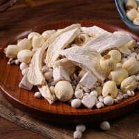 2026中國廣州中藥保健及名貴滋補品展覽會