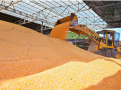 上榜“2025四川省綜合競爭力百強鎮” 仁壽縣這兩個鄉鎮憑什么？